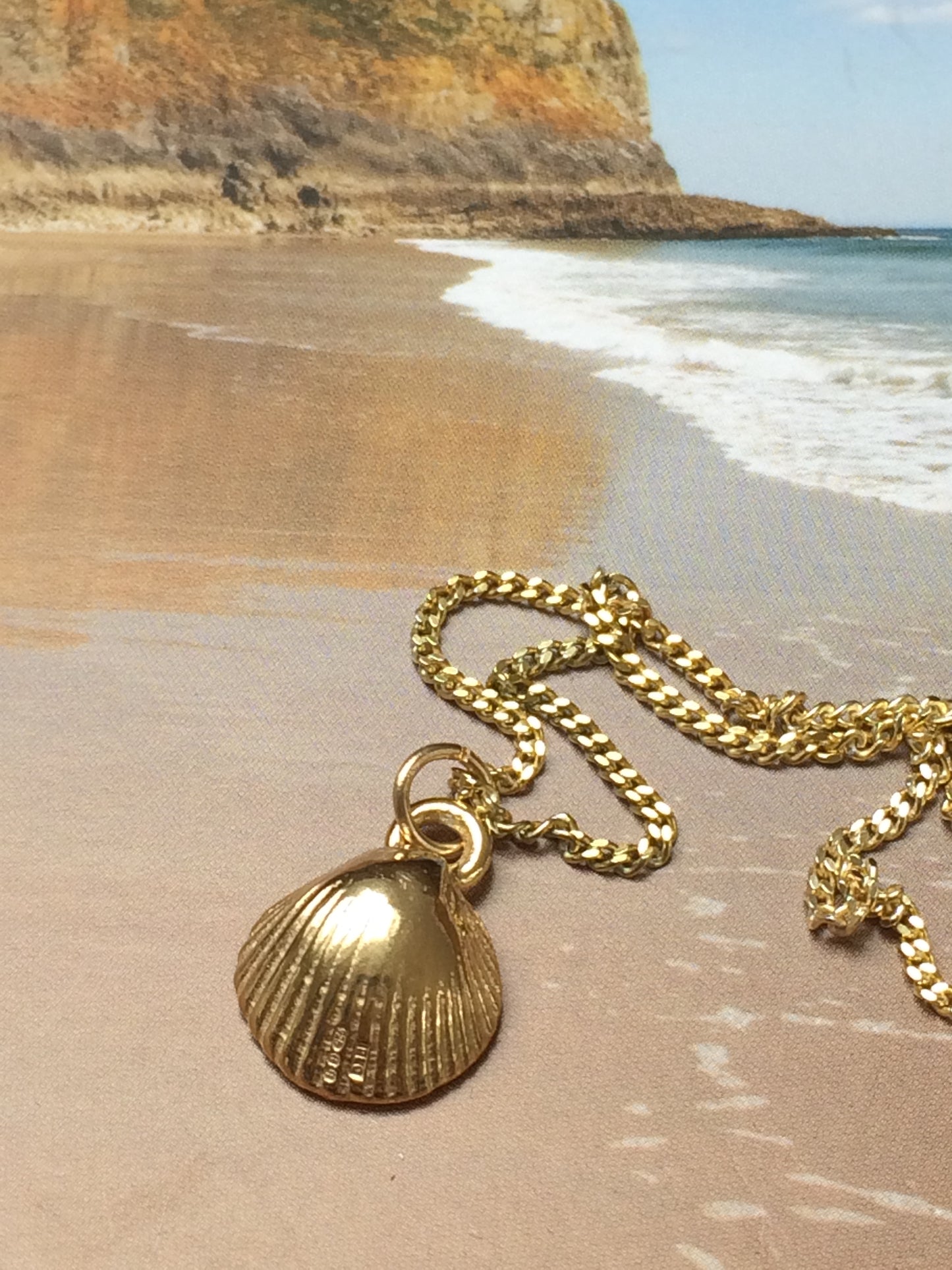 gold plated cockle shell necklace