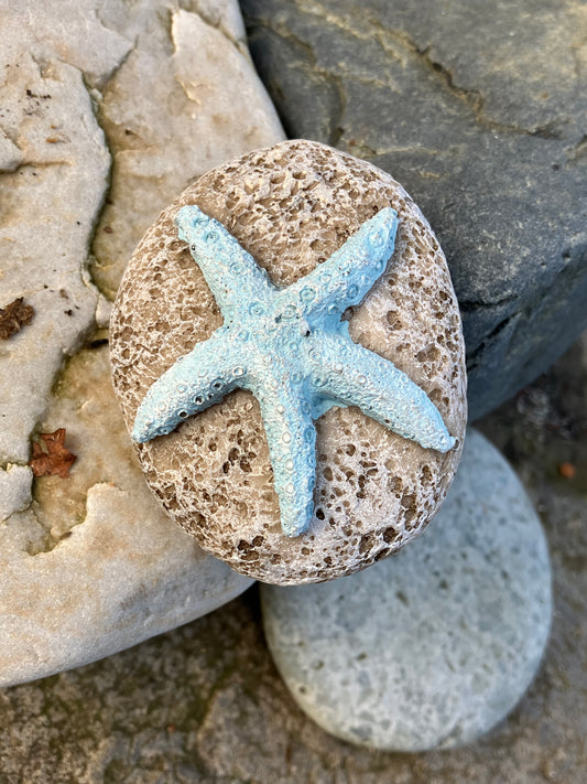 Starfish resin pebble